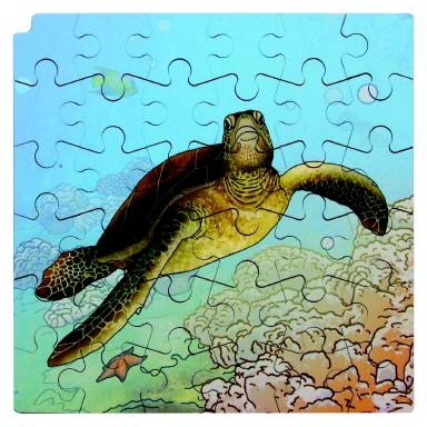 Wachstumspuzzle Schildkröte